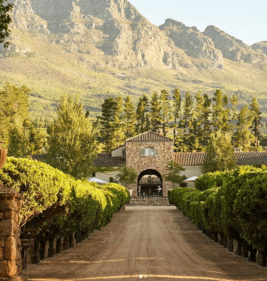 Waterford Estate wine tasting experience in Stellenbosch near Cape Town