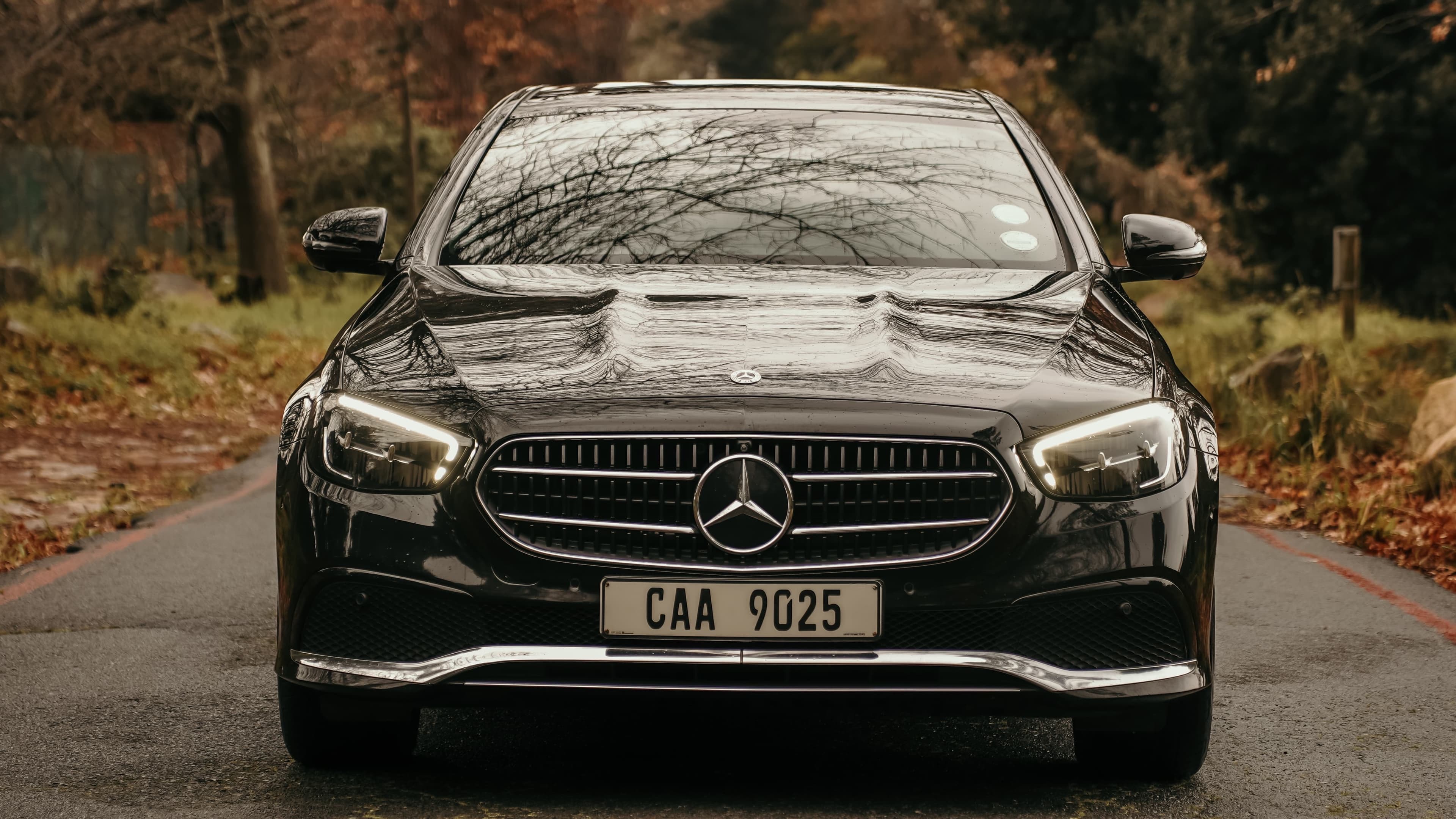Mercedes Benz E Class available for Cape Peninsula Private Tour
